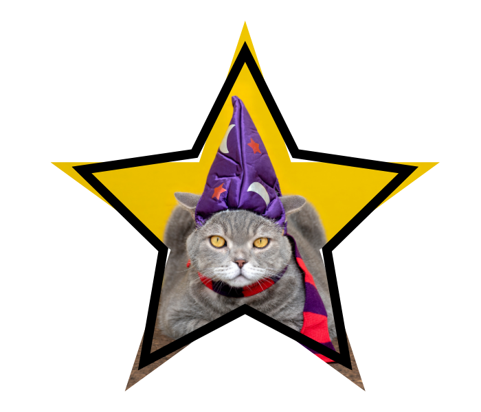 Cat with a purple wizard hat on to represent pet care myths in Reno, NV.