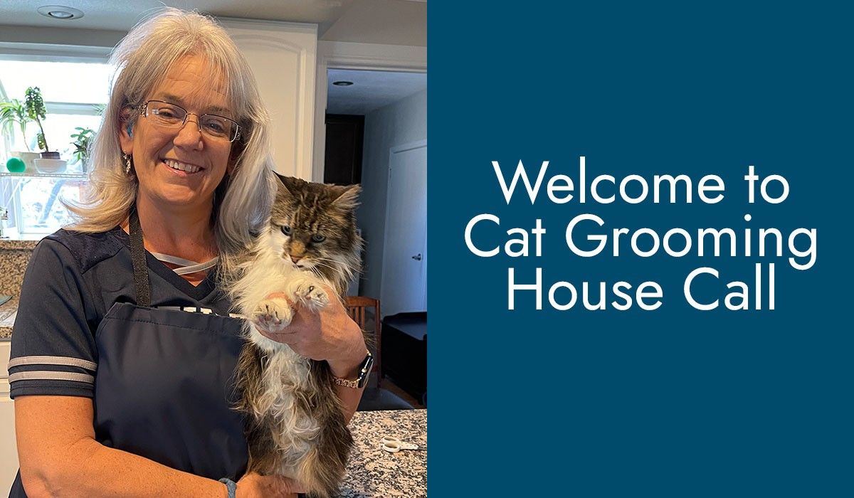 welcome-to-house-call-cat-grooming